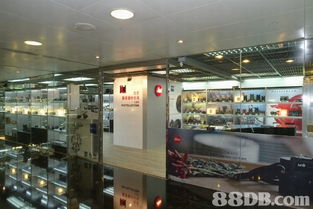 全方位攝影服務(wù)指南 從婚紗到家庭，捕捉每個珍貴瞬間