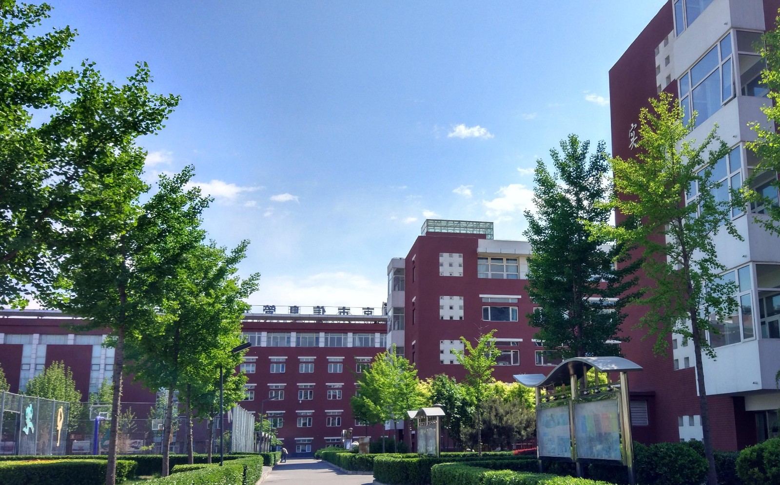 北京市信息管理學(xué)校2024年招生計(jì)劃詳解 計(jì)算機(jī)網(wǎng)絡(luò)信息管理與服務(wù)專業(yè)